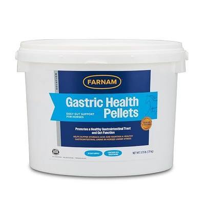 Farnam Gastric Health Pellets, Daily Gut and Digestive Health Supplement for Horses Helps Maintain a Healthy Gastrointestinal Tract and Gut Function