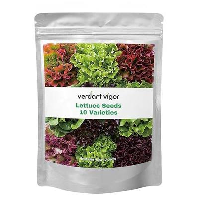 20,000+ Lettuce Seeds, Heirloom Vegetable Seed for Planting Indoor Outdoor, 10 Varieties of Fresh Salad Greens for Hydroponics Kit, Easy to Grow for Garden Beginners, Non-GMO