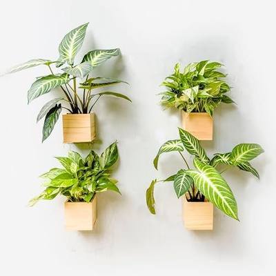 LaLaGreen Wooden Planter Box for Plants (4x4 Inch, 4 Pack) Small Square Wall Planters for Indoor Plant, Natural Wood Hanging Flower Pot Herb Planter Table Centerpiece Modern Home Garden Office Decor