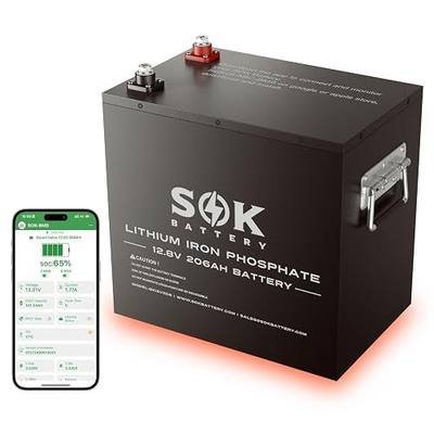 SOK Battery 12V 206Ah LiFePO4 Battery, 8000+ Deep Cycle Smart BMS, 170A Max Continuous Discharge & 70A Max Charge, Built-in Heater & Bluetooth, Metal Case for RV, Solar, Camper, Trailer, Off Grid