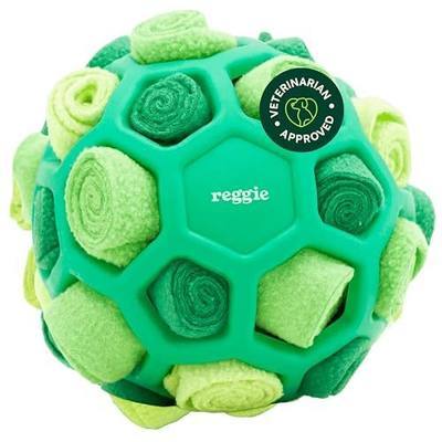 Reggie Forager Ball for Dogs | Interactive Treat Dispensing Dog Enrichment Toys | Reduces Boredom, Stress & Hyperactivity | Snuffle Toys for Dogs | Durable & Washable Dog Puzzle Toy