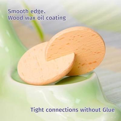 Interlocking Discs Montessori Wooden Materials for Baby