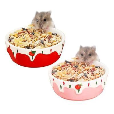 VanEnjoy 2 Pack Hamster Food Bowl Small Ceramic Water Food Bowl for Cage Small Animal Bowls for Hamster Guinea Pig Chinchilla Rabbit - Red and Pink