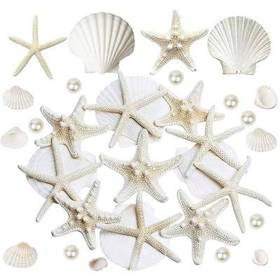 JQAQJU 16PCS Starfish and Scallop Shells for Crafts 3"-4" with Pearls, Natural Sea Shells for Crafting Beach Party Christmas Decor DIY
