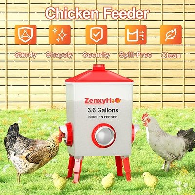ZenxyHoC Chicken Feeder