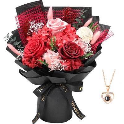 Casaido Preserved Flowers for Delivery, Mothers Day Red Flower Bouquets with Necklace, Forever Real Roses Anniversary Birthday Valentines Day Christmas Rose Gifts for Women Mom Wife Girlfriend