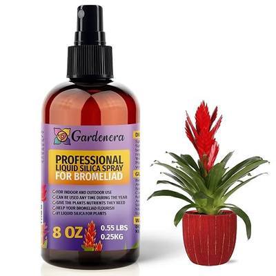 ππππππππ Liquid Silica Boost Fertilizer and Supplement Spray for BROMELIAD Plants β Pre-Mixed, Ready-to-Use Liquid Silicon Plant Superfood Mist for Indoor & Outdoor Plants β 8oz