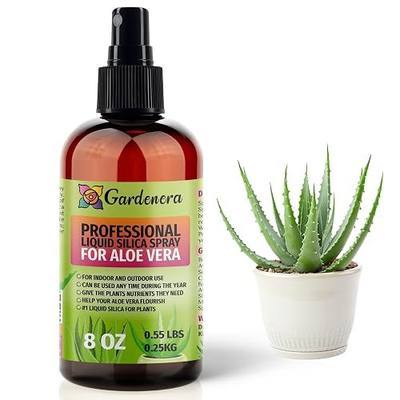 ππππππππ Liquid Silica Boost Fertilizer and Supplement Spray for Aloe Vera Plants β Pre-Mixed, Ready-to-Use Liquid Silicon Plant Superfood Mist for Indoor & Outdoor Plants β 8oz