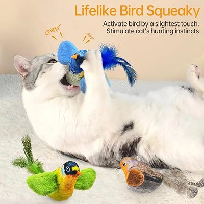 Chirping Bird Cat Toys - Hanging Feather Toy with Catnip - Interactive Cat Exercise Toy for Indoor Play (Gray)