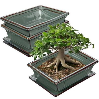 Villa Como Set of 2 Bonsai Pots with Drainage Tray, 7.5" Green Glazed | Ceramic Bonsai Tree Pots, Shallow Rectangle Bonsai Planter for Indoor Outdoor Plants, Succulents, Cactus, Home, Patio, Garden