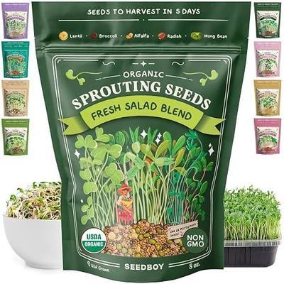 Seedboy Organic Non-GMO Sprouting Seeds, Fresh Salad Blend - USA Grown Microgreens Mix with Alfalfa, Broccoli, Radish, Mung Bean & Lentil - 8 oz Bag Makes 8 Quarts / 32 Servings (Salad Blend)