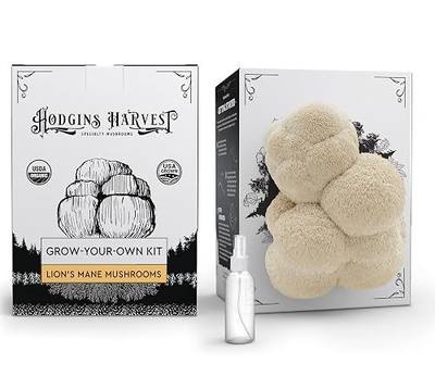 Organic Lion's Mane Mushroom Growing Kit - Indoor Gardening Kit for Fresh Gourmet Mushrooms - Easy to Grow at Home - Holiday Gift for Garden Lovers & Foodies - Grown in USA - 3.5 lb