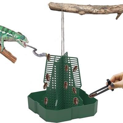 Chameleon Feeder Bearded Dragon Feeder for Mounted Insect(Medium) | Plastic,Anti-Escape,Crested Gecko Tank Accessories,with Rope and Tweezers,for Lizard Bearded Dragon Gecko Frog
