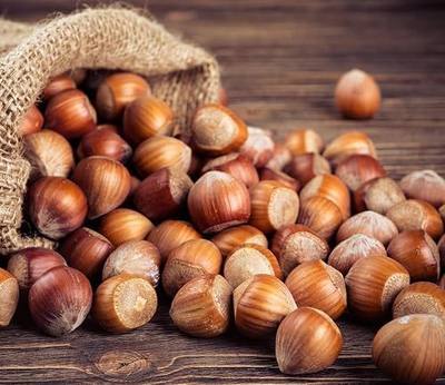 Large Oregon Hazelnuts in Shell (5 Pounds)