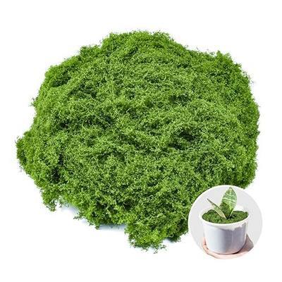 Fake Green Moss for Crafts 5.3 Oz Decorative Artificial Moss for Crafts Decorative Faux Moss Table Centerpieces Wedding Party Decor Fairy Garden Floral DIY