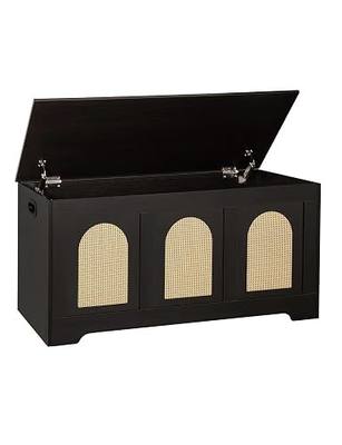 DINZI LVJ Storage Chest, 39.4" Wooden Toy Box with Lid, 2 Soft-Close Hinges | Entryway Shoe Bench, Finger-safe Flip-Top, Easy Assembly, Farmhouse Large Trunk, Living Room/Bedroom, Espresso & Natural