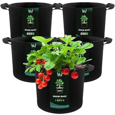 WTREE 5-Pack 1 Gallon Grow Bags - Heavy Duty 300G Thickened Aeration Nonwoven Fabric Pots with Handles - Ideal Cloth Pots for Plants - Planters Accessories, Garden Vegetables Supplies