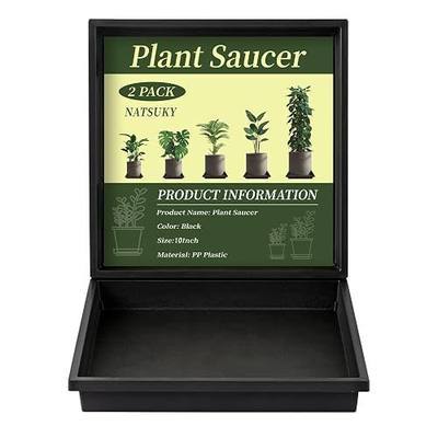 NATSUKY Square Plant Saucer 10 Inch 2 Pack, 8 10 12 14 Inch Plant Trays for Indoors Heavy Duty Plastic Flower Plants Saucers for Pots Outdoors No Holes Drip