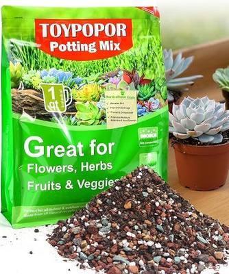 TOYPOPOR Succulent Soil, Cactus Potting Mix 2 Pounds/1 Quart, High Drainage, Pre-Mixed Ready to Use for All Succulent Varieties, Indoor Plants, Bonsai, Terrarium, Houseplant, 70% Particles 30% Soil