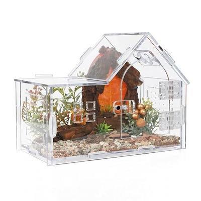 Acrylic Jumping Spider Enclosure House-Shaped Terrarium | Clear 360° view tank, magnetic door & top feeding port, 1mm vents, for mantis, tarantula, gecko & small insects