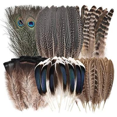 Natural Feathers Bulk - 55PCS - 6 Styles Assorted Natural Feathers, Peacock Feathers, Pheasant Feathers, Turkey Feathers for DIY Crafts, Wedding, Crafting Supplies