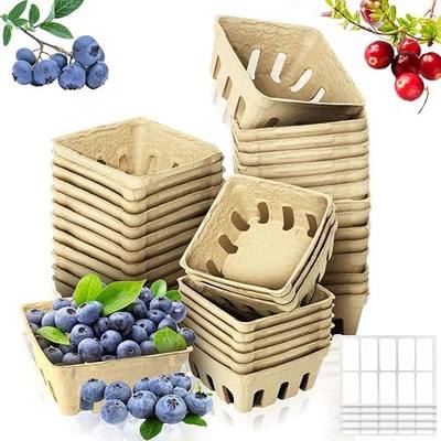 50 Pack Natural Pulp Fiber Berry Baskets with Blank Label for Vegetables Strawberry Blueberry Raspberry Egg, Farmer Market Produce Basket Containers Grocery Store Supplies Fruit Stand Supplies
