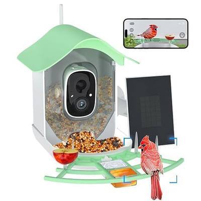 Smart Bird Feeder with Camera, AI Identify & Solar Panel, Bird Watching Camera, Auto Capture Video, Instant Arrival Alert, Live View, Crystal Green