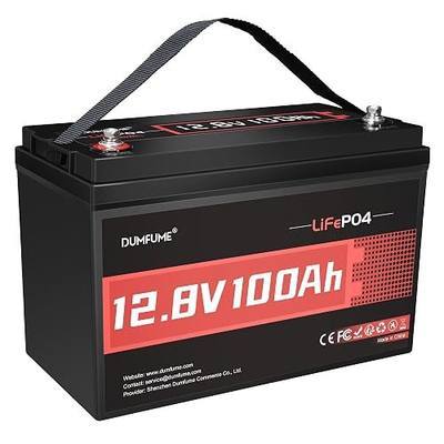 12V 100Ah LiFePO4 Battery Group 31 Lithium Battery 100A BMS | Low-Temp Protection, 1280Wh, IP65, Deep Cycles, for RV, Solar, Marine, Off-Grid, Camping, Home 10-Year Lifespan