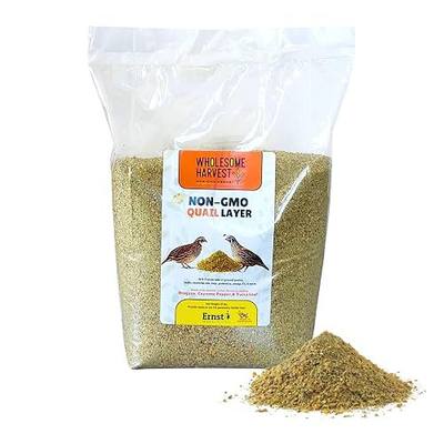 Non-GMO Quail Layer Feed 26% - Premium 10 lb Food for Laying Birds, Button Food