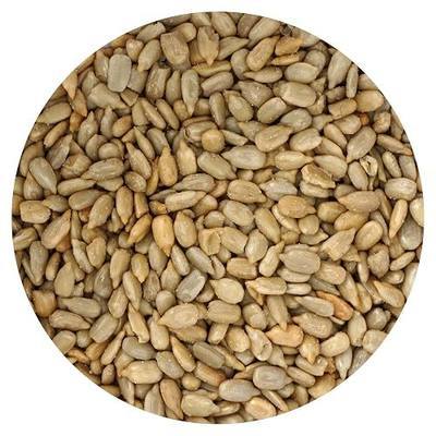 Sunflower Seeds Roasted and Salted, 1 Pound Bag, Sunflower Seeds No Shell, 16 Ounce Bulk Bag