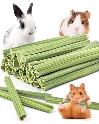 Bissap 35PCS Rabbit Chew Sticks, Natural Papaya Stems Bunny Chews Treats for Rabbit Hamster Chinchilla Guinea Pig Small Animals Organic Molar Chewing Snack