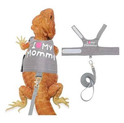 Bearded Dragon Harness and Leash Set - Adjustable Reptile Harness with Cute Design for Small Animals | Comfortable Outdoor Walking Gear for Lizards