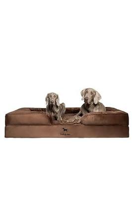 NOAH & PAW Giant Dog Bed XXL, 55x45x11 Inch, Orthopedic Dog Beds, Eggshell Memory Foam Infused with Cooling Gel, Inner Cover, Water Resistant, Machine Washable (Velvet Sofa Collection)