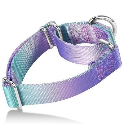 Martingale Dog Collar Colorful Gradient Fashionable - Anti-Escape Soft Durable Pets Collar for Walking Training Outdoor Daily Use -Medium, Purple Green
