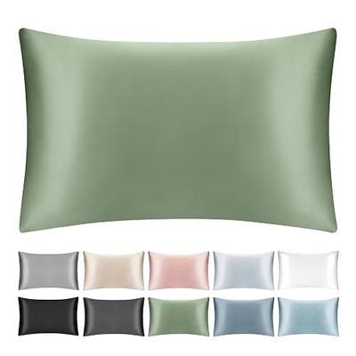 100% Mulberry Silk Toddler/Travel Pillowcase,Both Sides 19MM Small Silk Pillow Case with Hidden Zipper for Kids/Baby 1pc, Sage Green,13"x18"