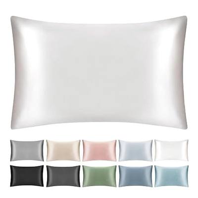 100% Mulberry Silk Toddler/Travel Pillowcase,Both Sides 19MM Small Silk Pillow Case with Hidden Zipper for Kids/Baby 1pc, Ivory White,13"x18"