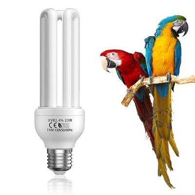 GlowUp 23W UVB Bulb for Bird, UVB 2.4 Compact Fluorescent Light Bulb E26 Birdcage Compact UVB 2.4 Lamp for Captive Birds and Reptiles
