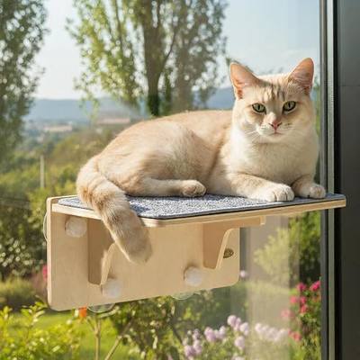 Pecute 2-in-1 Cat Window Perch & Wall Shelves, Cat Hammock Window 16"x10" | Solid Wood Frame, Strong Suction Cups, Washable Cover Mat, Window Bed for Kitten, Indoor Cats, Window Seat for Birds Watching