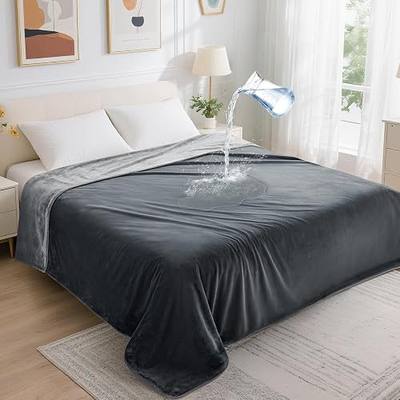 LOOBANI Waterproof Blanket for Bed: Reversible Soft Flannel Twin Bed Blanket 60" x 80", Leakproof Throw Spill-Proof Dog Pet Blanket for Couch Cover, Movie Time, Camping, Travel, Grey
