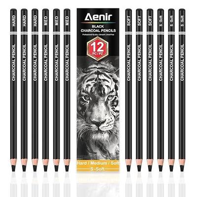 Aenir Charcoal Pencils for drawing, Set of 12, Charcoal Drawing Pencils (S-Soft, Soft, Medium, Hard), Art Supplies for Artist, Sketching, Shading