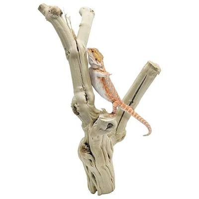 Reptile Branches for Climbing Natural Snake Climb Branch Extra Large Wood Forest Tree Trunk Decor Lizard Habitat Terrarium Decorations for Bearded Dragon Geckos Chameleon Frog
