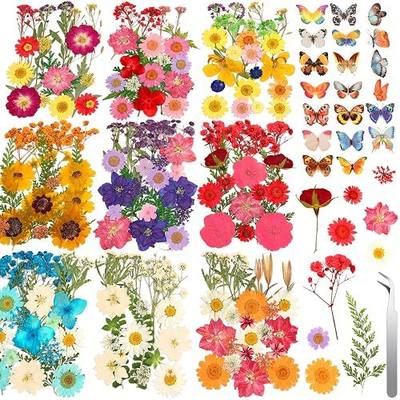 235 Pcs Pressed Dried Flowers for Resin, Natural Real Dried Pressed Flowers for Crafts, Bulk Dry Flowers for Resin Molds, Candles, DIY Art Jewelry Making with Tweezers Butterfly Stickers Set Decorate