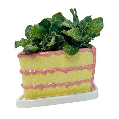 Streamline Imagined Birthday Slice of Cake Planter Set - Mint