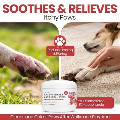 Soothing Dog Paw Wipes for Itchy Skin - Antibacterial and Antifungal Formula With Chlorhexidine and Ketoconazole - Daily Paw Cleaning Alternative to Shampoos - All Breeds | 50 Count | Made in the USA