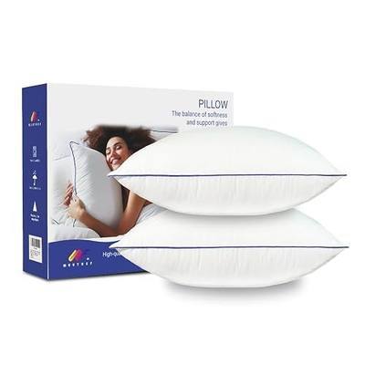 20x20 Pillow Inserts Set of 2, Soft Hypoallergenic Square Throw Pillow Inserts for Couch, Sofa – Oeko-TEX Certified Virgin Down Alternative Filling, Machine Washable