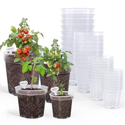 homenote 3/4/5/6.7 Inch Clear PP Nursery Pots with Drainage Holes (36 Pcs) | High transparency helps monitor roots and moisture; reusable design suits seed starting and cuttings, with 20 plant labels.