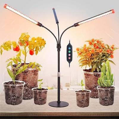 FRGROW 3Head Tabletop Grow Lights for Indoor Plants, Seed Starting, Vegetables, Bonsai, Bright Desk Plant Growing Lamps, 4/8/12/16/20H Timer, 27 Watt Power Draw, NO Need Adapter, 360° Gooseneck