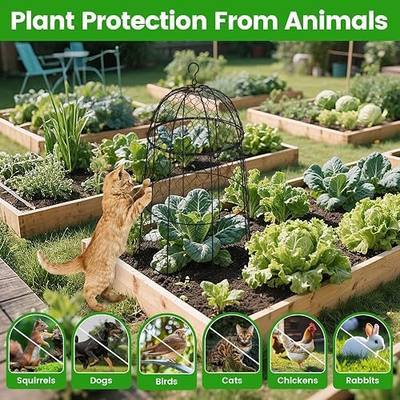 12Pcs garden cloche for plants,20×12.6in large size plant cages for outdoor plants,split design and anti-rust coated chicken wire cloche,sturdy and not easy to deform,plant cages to keep animals out