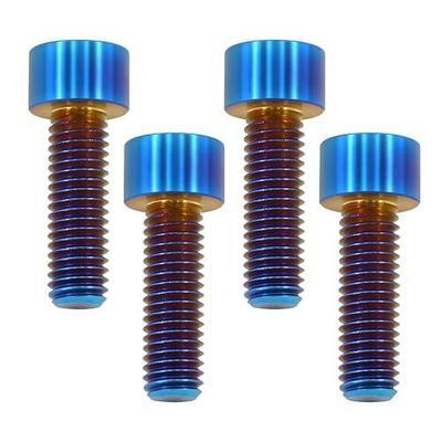 M8x25 Titanium Bolts Socket Head Cap Screw, Burnt Blue, 4PC | Lightweight Design, Socket Head Hex Key No Washer, Ideal for Humid/Salty Environments, Car/Motorcycle Bolts