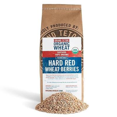 Yecora Rojo Hard Red Wheat Berries by Grand Teton Organic Wheat | Organic Hard Red Spring Wheat Berries for Baking Whole Grain Breads or Milling Into Flour | Non-GMO, (15 Pounds)